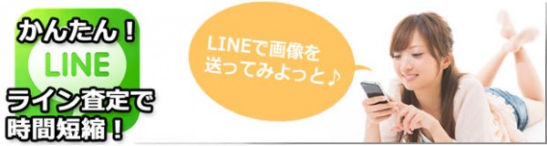 line-annai-2